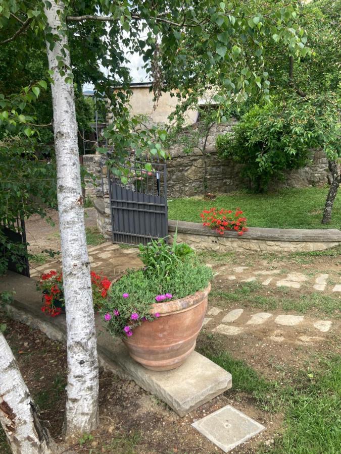 “Da Paolino” Villa Borgo alla Collina Bagian luar foto