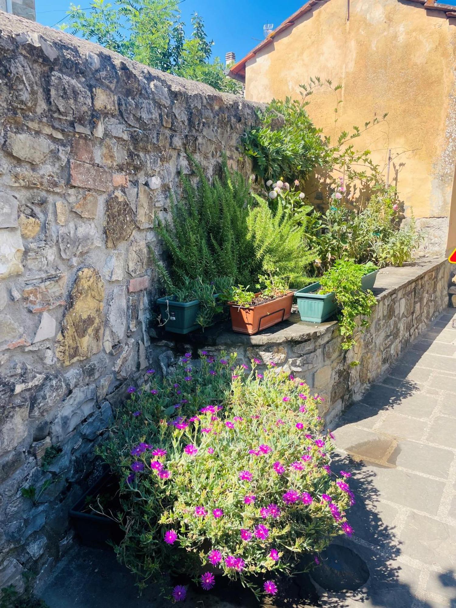 “Da Paolino” Villa Borgo alla Collina Bagian luar foto